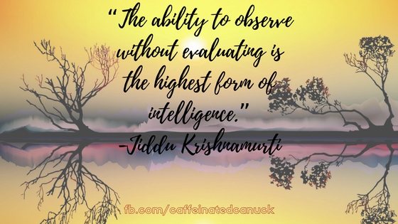 “The ability to observe without evaluating is the highest form of intelligence.”.jpg